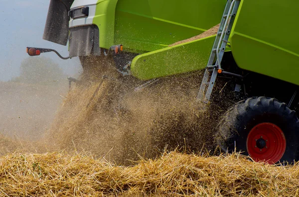 Combineer maaimachine. Oogsten van tarwe. — Stockfoto