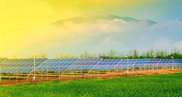 Photovoltaic solar collectors in photovoltaic power plant — Stock Photo, Image