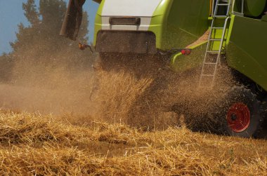 Hasat. Bir buğday alanında çalışan birleştirme.