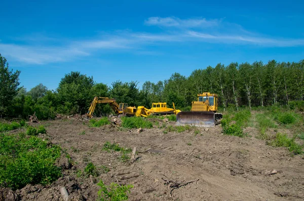 Bulldozer. Preparación mecánica del sitio para la silvicultura . — Foto de Stock