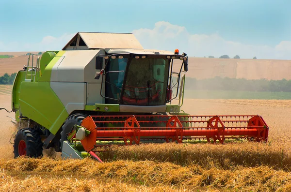 Grain harvesting with combine harvester. Wheat field. — Stock Photo, Image