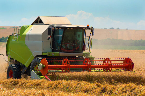 Сбор зерна с комбайном. Пшеничное поле
.