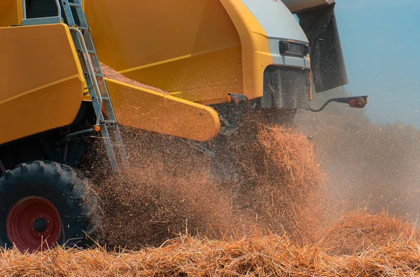 Graan oogst met combine harvester — Stockfoto