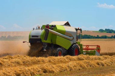 Bir çiftlikte hasatçı hasadı olgunlaşmış buğdayı birleştirin