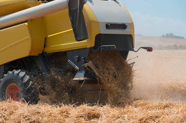 Combineer harvester van dichtbij omhoog tijdens de oogst. Oogsten van tarwe. — Stockfoto