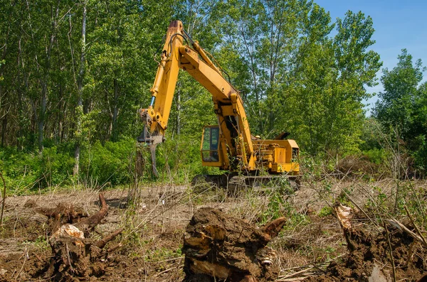Retire las raíces con excavadora — Foto de Stock