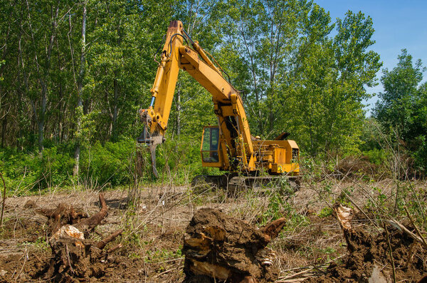 Remove roots with excavator