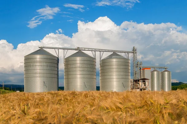 Silos en un campo de cebada. Almacenamiento del cultivo — Foto de Stock