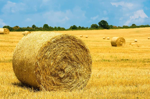 Strohballen. Niveaus nach der Ernte — Stockfoto