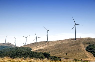 yel değirmeni çiftliği dağ.