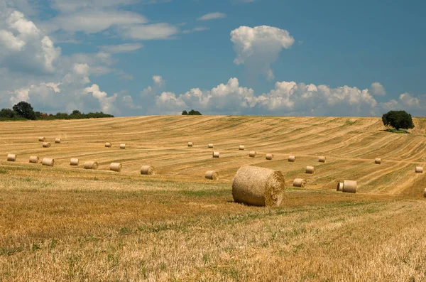 Balle di paglia. Livelli con balle . — Foto Stock