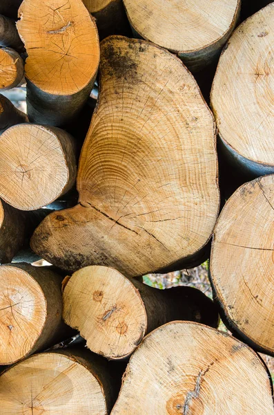 Högen av trä loggar lagring för vintern — Stockfoto