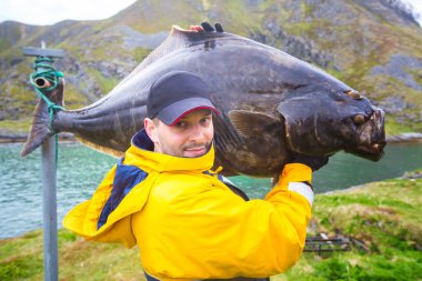 fisherman carries on his shoulder a huge fish. 25 kg halibut. clipart