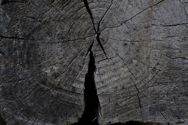 Eski ahşap doku. Arka plan, boş şablon