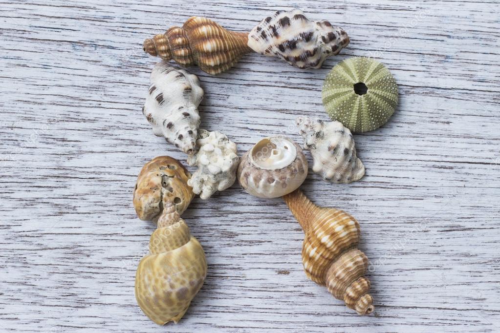 Letter R made of seashell Stock Photo by ©MichikoDesign 125010634