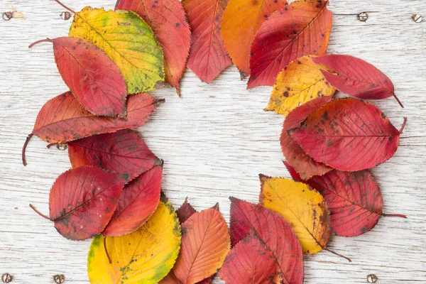 フレーム赤秋葉木の板 — ストック写真