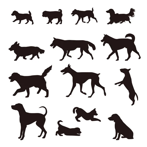 Different kinds of dog silhouette — Stock Vector