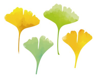 Yeşil ve sarı ginkgo suluboya etkileri bırakır