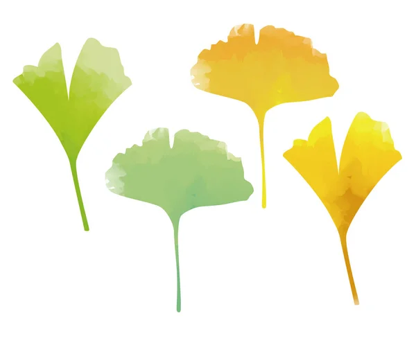 Зеленый и желтый гинкго листья акварели эффекты — стоковый вектор