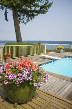 Yönetim Kurulu atlama ile açık özel Havuzu