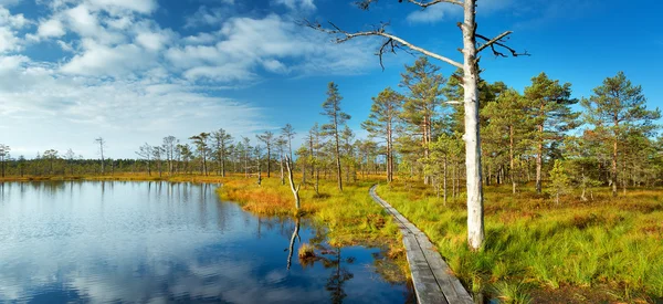 Viru-Moor im Lahemaa-Nationalpark — Stockfoto