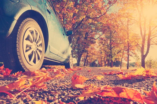 Auto su strada asfaltata in autunno — Foto Stock