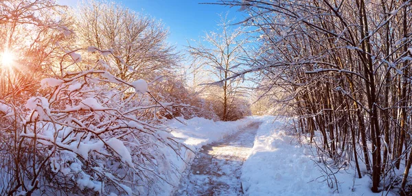 Verschneiter Weg im verschneiten Wintermorgen auf dem Land — Stockfoto