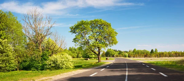 Asfaltová silnice panorama na venkově za slunečného letního dne — Stock fotografie