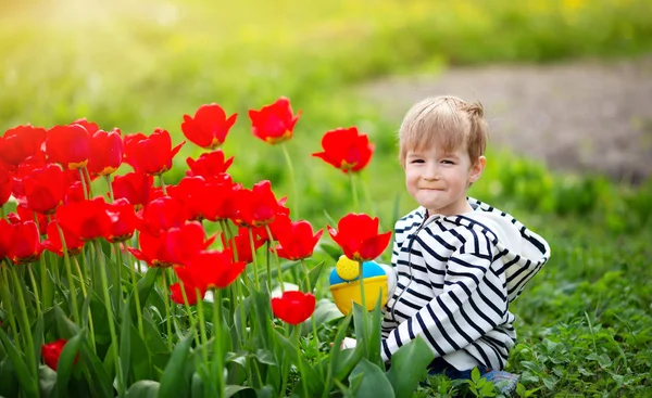 Malé dítě kráčející v blízkosti tulipánů na záhonu v krásném jarním dni — Stock fotografie