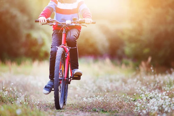 Kind op een fiets in het bos in de vroege ochtend — Stockfoto