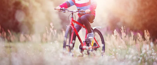 Criança em uma bicicleta na floresta no início da manhã — Fotografia de Stock