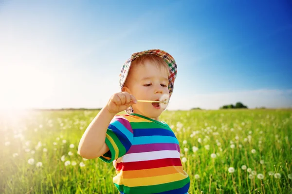 Мальчик, стоящий в траве на поле с одуванчиками — стоковое фото