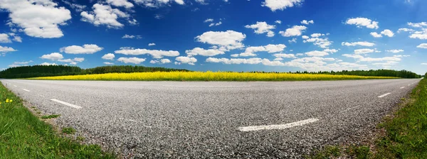 Road panorama on sunny summer day in countryside — Φωτογραφία Αρχείου