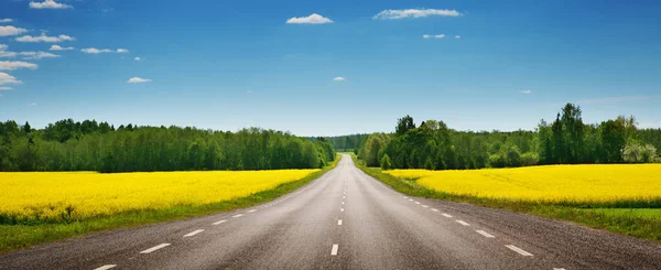 Panorama de estrada no dia ensolarado de verão no campo — Fotografia de Stock