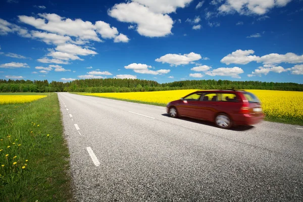 Panorama stradale nella soleggiata giornata estiva in campagna — Foto Stock