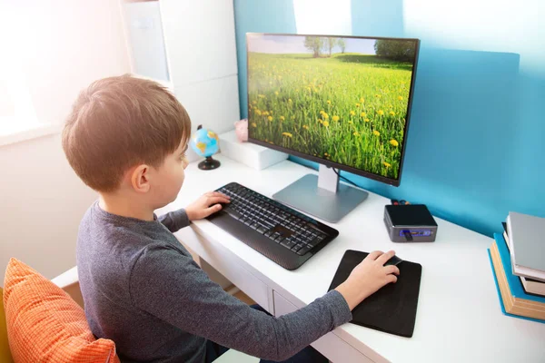 Neuf ans enfant utilisant PC à la maison — Photo