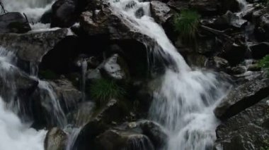 Dağ Kurtat Kuzey Osetya