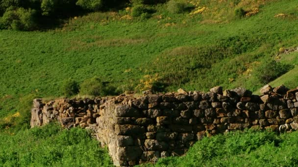 Monumentos medievales, Kurtat Gorge — Vídeo de stock