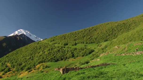 Kurtat de montaña en Osetia del Norte — Vídeo de stock