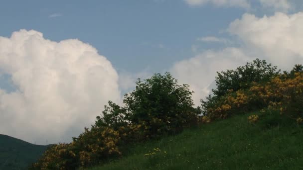 Berg Kurtat in Noord-Ossetië — Stockvideo