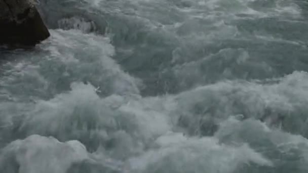 Kurtat de montaña en Osetia del Norte — Vídeo de stock