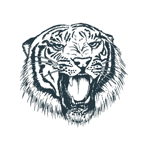 Tigre estilo dibujado portrait.hand — Vector de stock