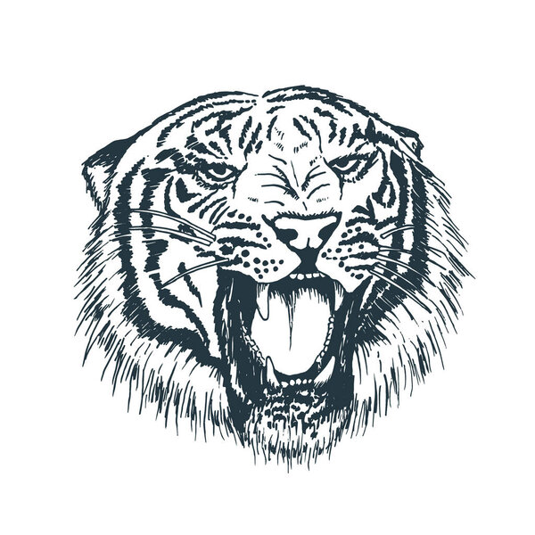 Tiger portrait.hand drawn style