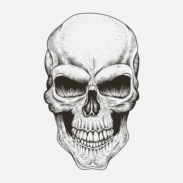 Scary skull of human — Stock Vector