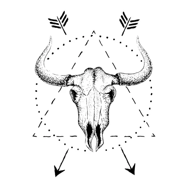 Skull of bull with horns — Stock Vector