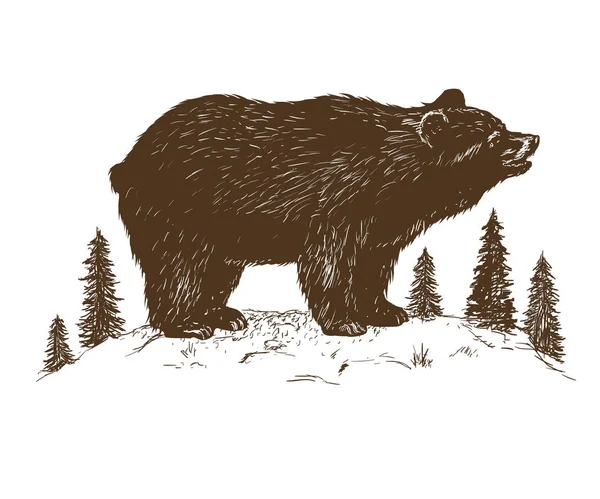 Niedźwiedź brunatny symbol wektor ilustracja — Wektor stockowy