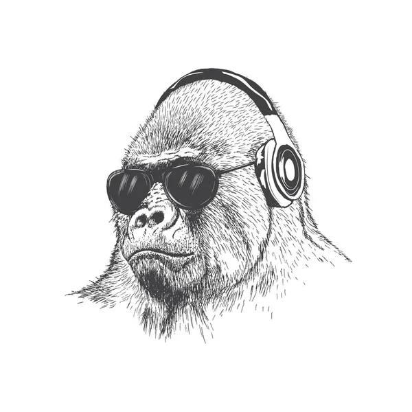 Vektör maymun müzik fan el çekilmiş