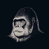 Картина, постер, плакат, фотообои "gorilla portrait face", артикул 143867739
