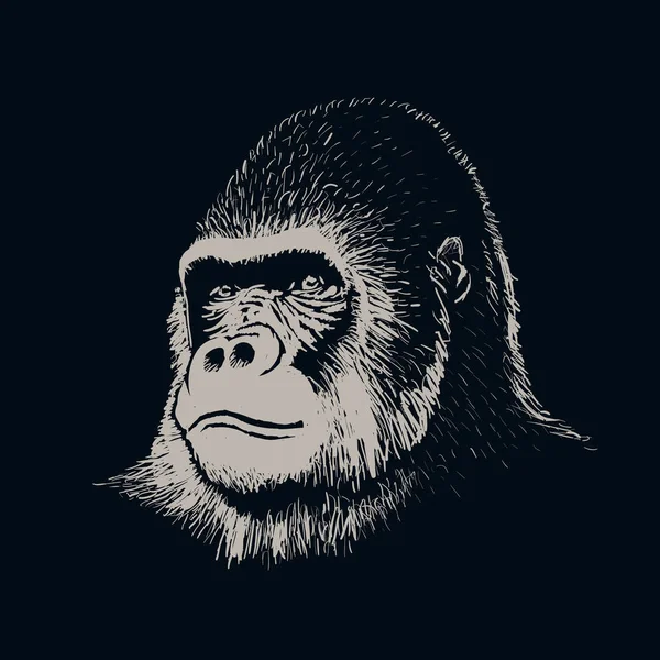 Gorilla portret gezicht — Stockvector