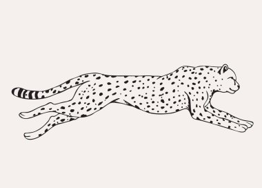 Runing leopar elle çizilmiş